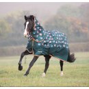 Shires Tempest Original 200 Combo pink nebular