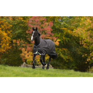 Amigo Hero 6 Turnout Light 0g Pony JCSK-Excalibur/black & Strong Blue/Blue 125cm