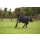 Horseware Amigo Bravo 12 Lite 0gDisc