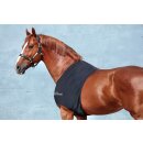 Rambo Brustschutz black M=130-140cm