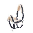 Eskadron Halfter Double Pin Mattgloss EVO Wool Platinum...