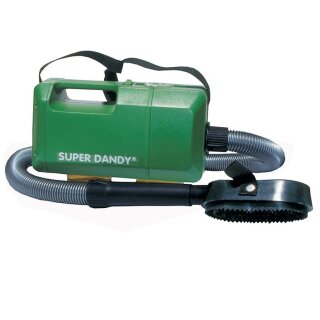 SUPER DANDY Boy