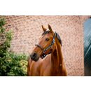 Horseware Signature Competition Headcollar Halfter