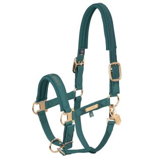 Halfter FAUX LEATHER PLAIT DP Heritage 560-vintage green V-Vollblut