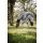 Horseware Amigo CamoFly Plus