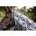 Horseware Amigo CamoFly Plus