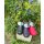 Aigle Garten-Clogs Taden Plus M 2