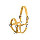 Eskadron Halfter Faux Lrather Double Pin Platinum...