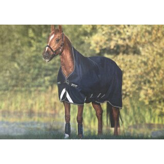 Horseware Amigo 900D Wug Weidedecke 150g blue 145cm