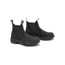 Mountain Horse Stable Jodhpur