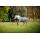 Horseware Amigo Bravo 12 Lite 0g + Dry Liner 50g – Set 155cm