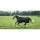 Bucas Irish Turnout 150g