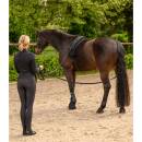 Doppellonge Classic Silver 18m schwarz