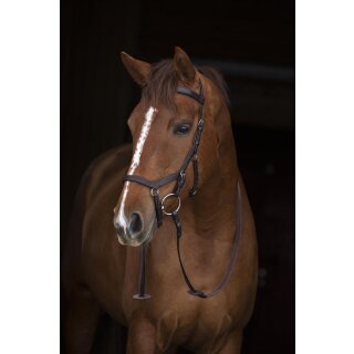 Rambo Micklem Competition Bridle
