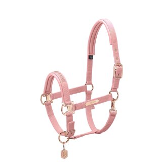 710-pearl rose