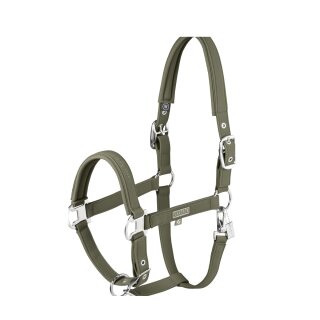 150-dusty olive
