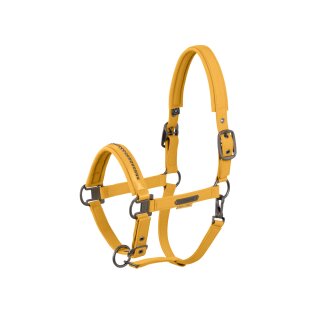630-golden yellow
