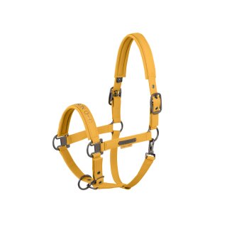 630-golden yellow