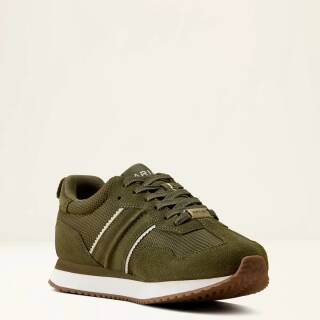 olive night